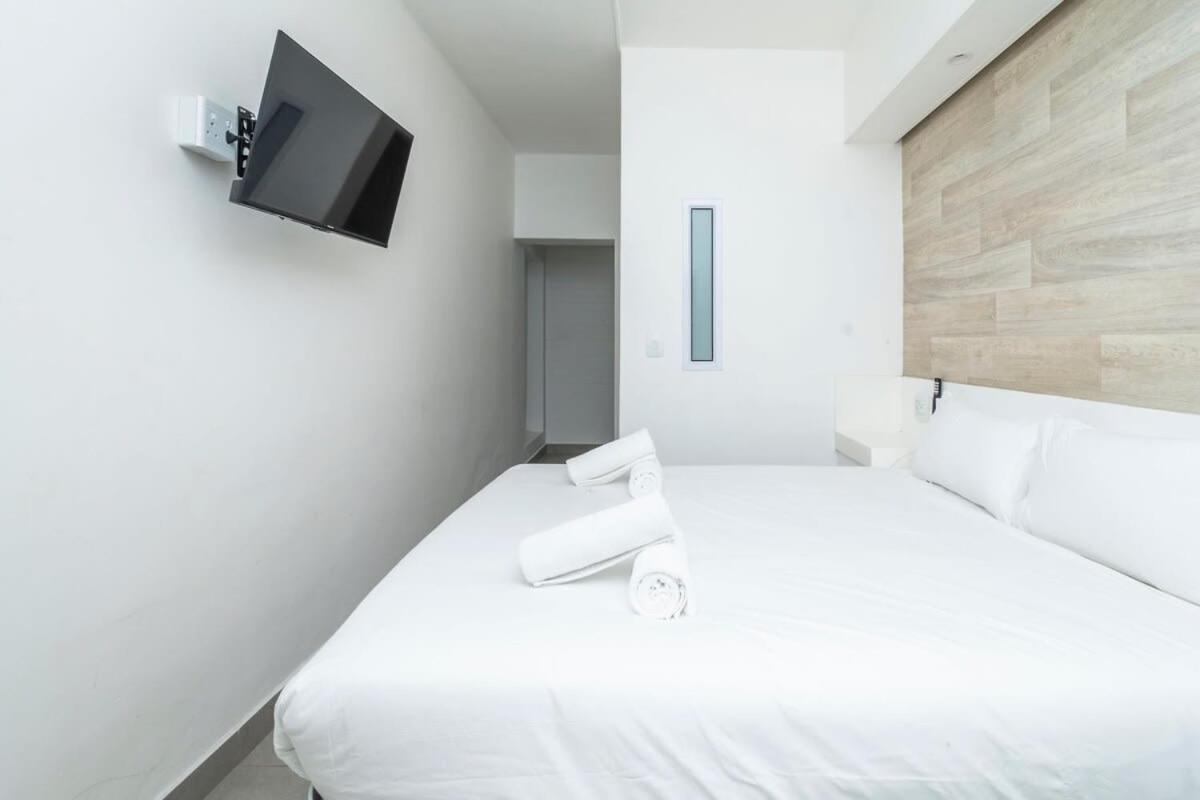 Greenpoint Gem Cozy With Vibrant Shared Space Apartment