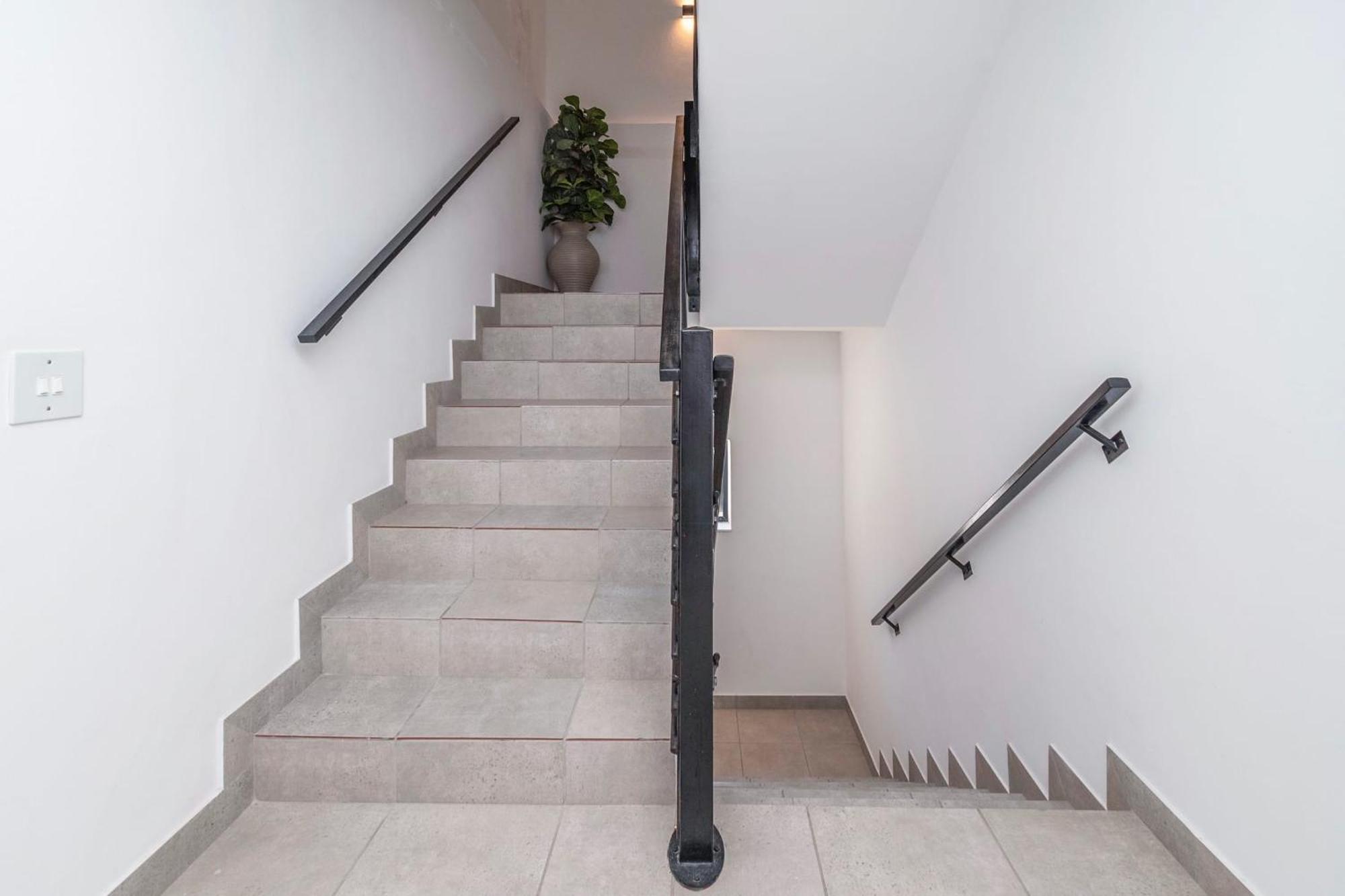 Greenpoint Gem Cozy With Vibrant Shared Space